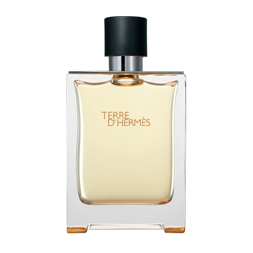 terre d'hermes toilette 100ml Terre d’Hermès Toilette 100ml - Image 1